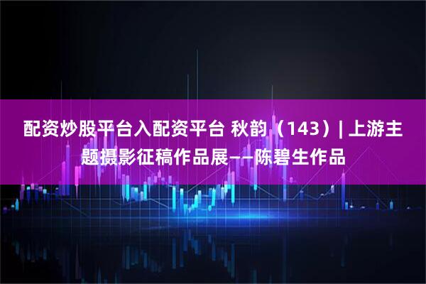 配资炒股平台入配资平台 秋韵（143）| 上游主题摄影征稿作品展——陈碧生作品