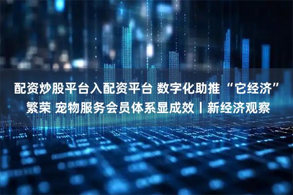 配资炒股平台入配资平台 数字化助推 “它经济” 繁荣 宠物服务会员体系显成效丨新经济观察