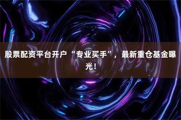 股票配资平台开户 “专业买手”，最新重仓基金曝光！